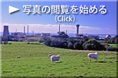 写真の閲覧を始める